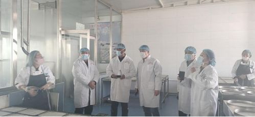 自治区验收组深入察右中旗 对内蒙古传统奶制品生产经营示范企业 进行验收